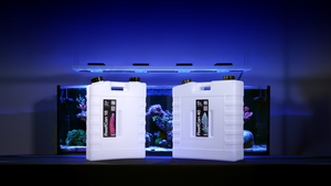 Red Sea ReefCan Red Sea ReefCan