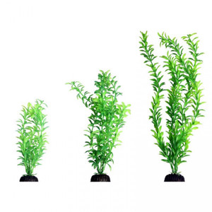 Aqua One Ecoscape Green Ludwigia Aqua One Ecoscape Green Ludwigia