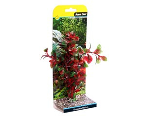 Aqua One Ecoscape Red Hygro Aqua One Ecoscape Red Hygro