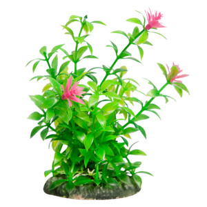 Aqua One Ecoscape Small Ludwigia Green Aqua One Ecoscape Small Ludwigia Green