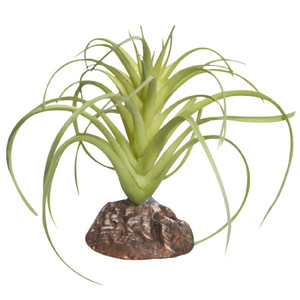 Reptile One Mini Exserta Green With Ceramic Base Reptile One Mini Exserta Green With Ceramic Base