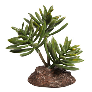 Reptile One Mini Senecio Green With Ceramic Base Reptile One Mini Senecio Green With Ceramic Base