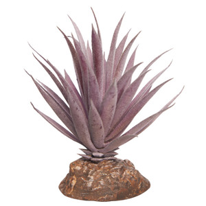 Reptile One Mini Ionantha Red With Ceramic Base Reptile One Mini Ionantha Red With Ceramic Base