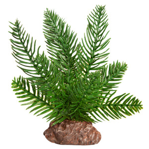 Reptile One Sago Palm Green With Ceramic Base