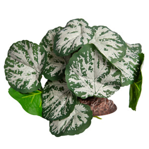 Reptile One Brunnera Green Silver With Ceramic Base Reptile One Brunnera Green Silver With Ceramic Base