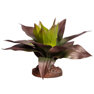 Reptile One Spathacea Green Red With Ceramic Base Reptile One Spathacea Green Red With Ceramic Base