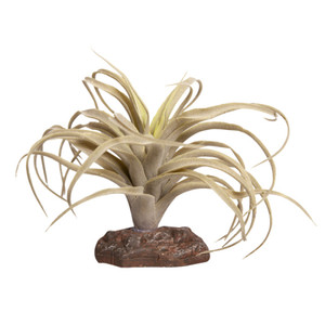 Retile One Exserta Green With Ceramic Base Retile One Exserta Green With Ceramic Base