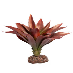 Reptile One Aloe Red Green With Ceramic Base Reptile One Aloe Red Green With Ceramic Base