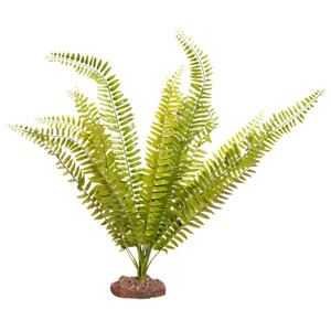 Reptile One Fern Green With Ceramic Base Reptile One Fern Green With Ceramic Base