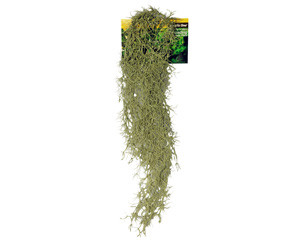 Reptile One Hanging Spanish Moss Grey 40cm