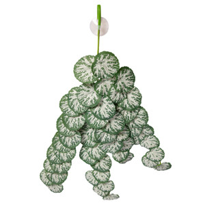 Reptile One Hanging Plant Brunnera Green Silver With Suction Cup Reptile One Hanging Plant Brunnera Green Silver With Suction Cup