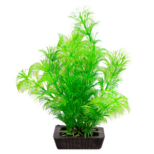 Aqua One Ecoscape Small Ambulia Green Aqua One Ecoscape Small Ambulia Green