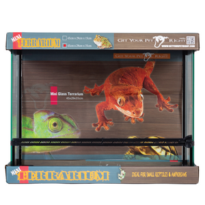 Get Your Pet Right Mini Terrarium Get Your Pet Right Mini Terrarium
