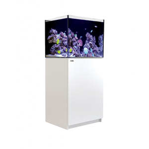 Red Sea Reefer G2+ 170 Red Sea Reefer G2+ 170