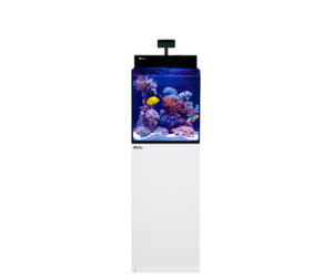 Red Sea Max Nano Peninsula