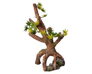 Aqua One Ornament Umbrella Pine Sapling 13.5wx8dx20.5cmh