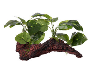Aqua One Ornament Driftwood With Variegated Pothos 37x24x25cmh