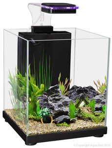 Aqua One Betta Sanctuary Black Aqua One Betta Sanctuary Black