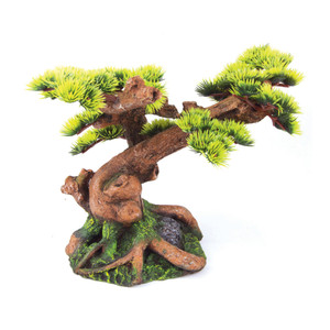 Kazoo Bonsai Plant Medium Kazoo Bonsai Plant Medium