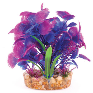 Kazoo Combo Bush with Maroon Assorted Leaf Small Kazoo Combo Bush with Maroon Assorted Leaf Small