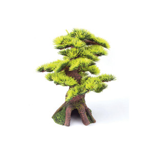 Kazoo Bonsai Plant Small Kazoo Bonsai Plant Small