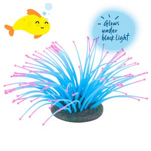 Kazoo Silicone Sea Anemone Blue/Pink Kazoo Silicone Sea Anemone Blue/Pink