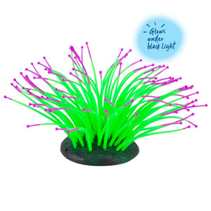 Kazoo Silicone Sea Anemone Green/Purple Kazoo Silicone Sea Anemone Green/Purple