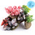 Kazoo Coral With Rock & Plants Kazoo Coral With Rock & Plants