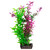 Aqua One Ecoscape Rotala Purple