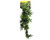 Reptile One Green Hanging Sativa Reptile One Green Hanging Sativa