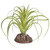 Reptile One Mini Exserta Green With Ceramic Base Reptile One Mini Exserta Green With Ceramic Base
