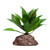 Reptile One Mini Echeveria Red Green With Ceramic Base Reptile One Mini Echeveria Red Green With Ceramic Base