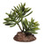 Reptile One Mini Senecio Green With Ceramic Base Reptile One Mini Senecio Green With Ceramic Base