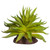 Reptile One Mini Carpobrotus Green With Ceramic Base Reptile One Mini Carpobrotus Green With Ceramic Base