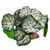 Reptile One Brunnera Green Silver With Ceramic Base