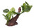 Aqua One  Ornament Driftwood With Variegated Pothos 33x15x26cmh