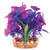 Kazoo Combo Bush with Maroon Assorted Leaf Small Kazoo Combo Bush with Maroon Assorted Leaf Small