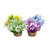 Kazoo Plastic Plant Coloured Tip Leaf Assorted Mini 10cm Kazoo Plastic Plant Coloured Tip Leaf Assorted Mini 10cm