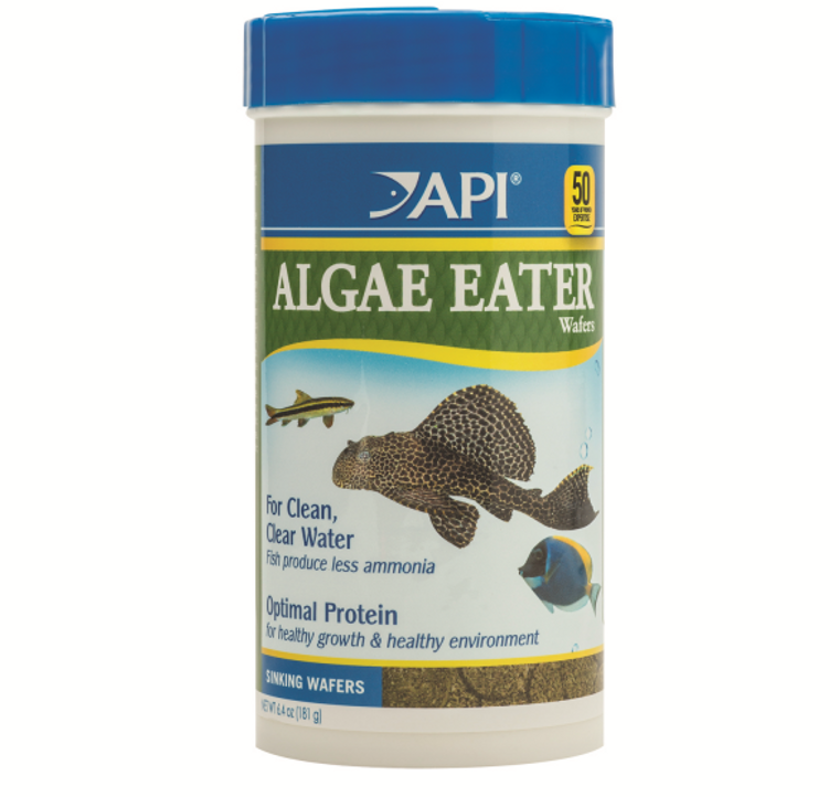 API Algae Eater Wafers 181g