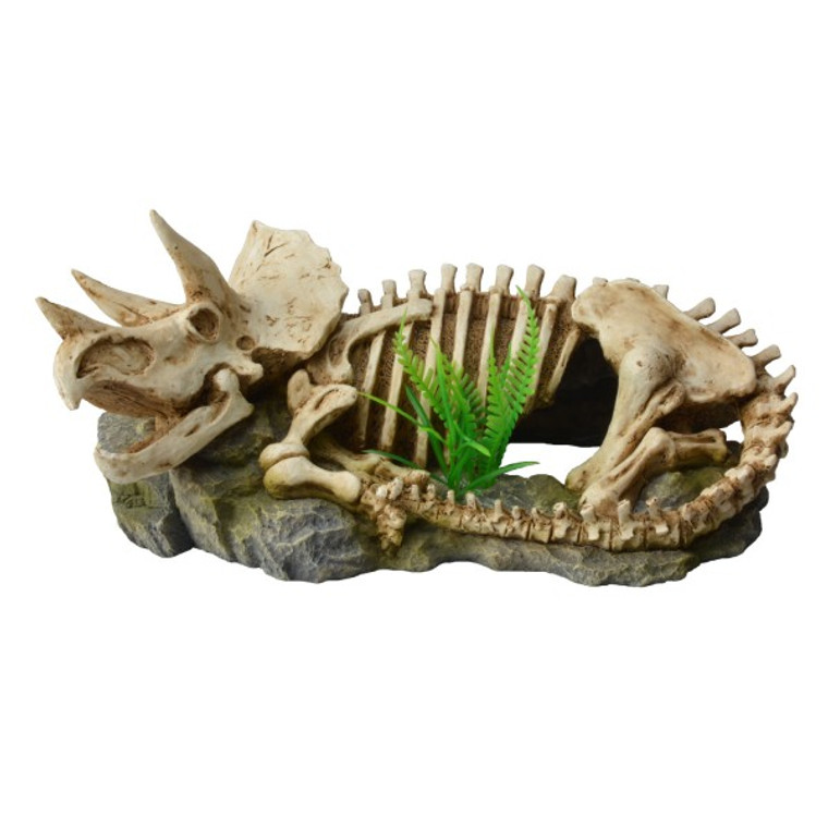 Bioscape Dinosaur Skeleton with Plants - 25.5 x 12 cm