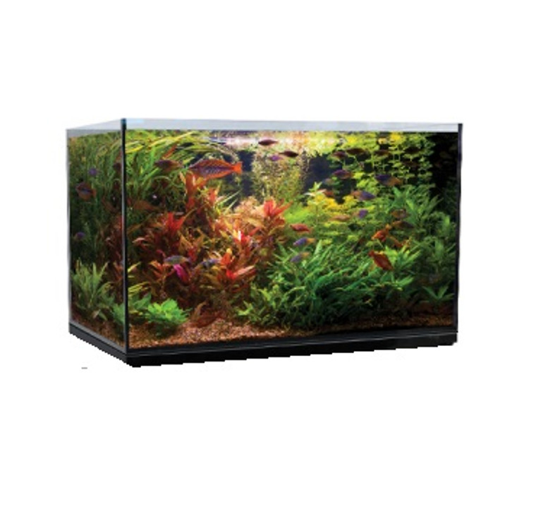 Aqua One AquaSys 235 Glass Tank