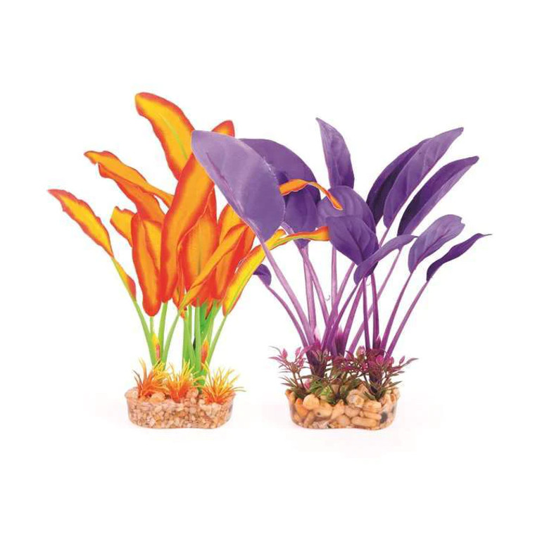 Kazoo Silk Plant Thin Leaf Purple or Orange