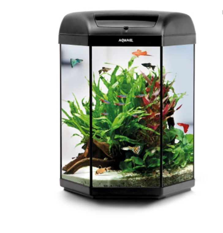 Aquael Hexa 60 Aquarium Set