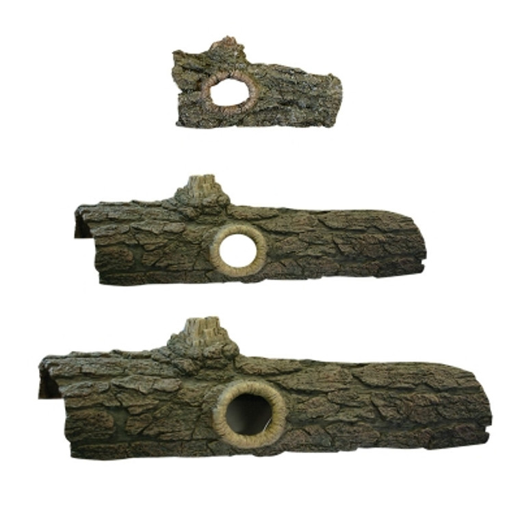 Reptile One Log With Holes