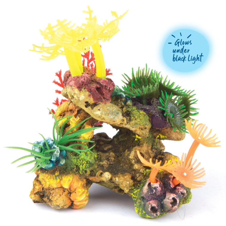 Kazoo Soft Coral With Plants