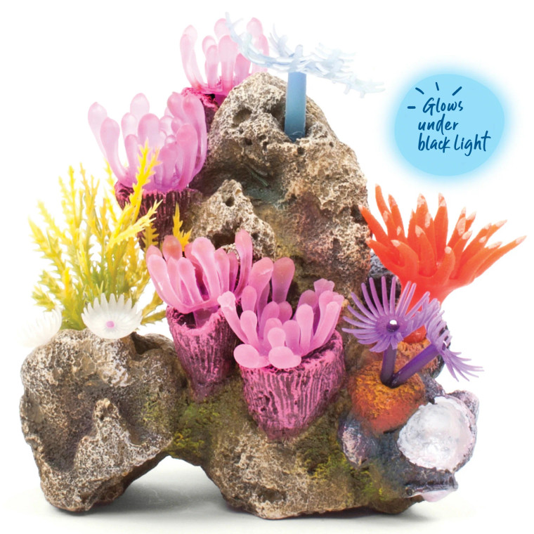 Kazoo Soft Coral Garden With Rock