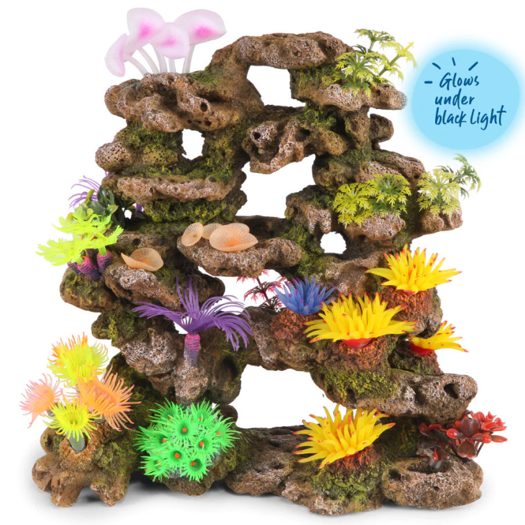 Kazoo Coral Stone Formation With Plants Centrepiece