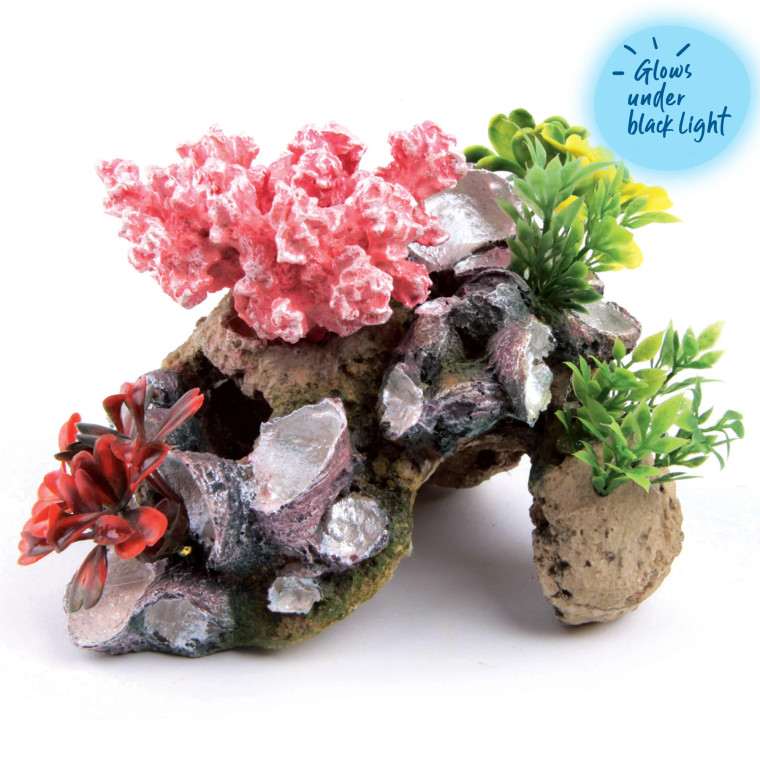 Kazoo Coral With Rock & Plants