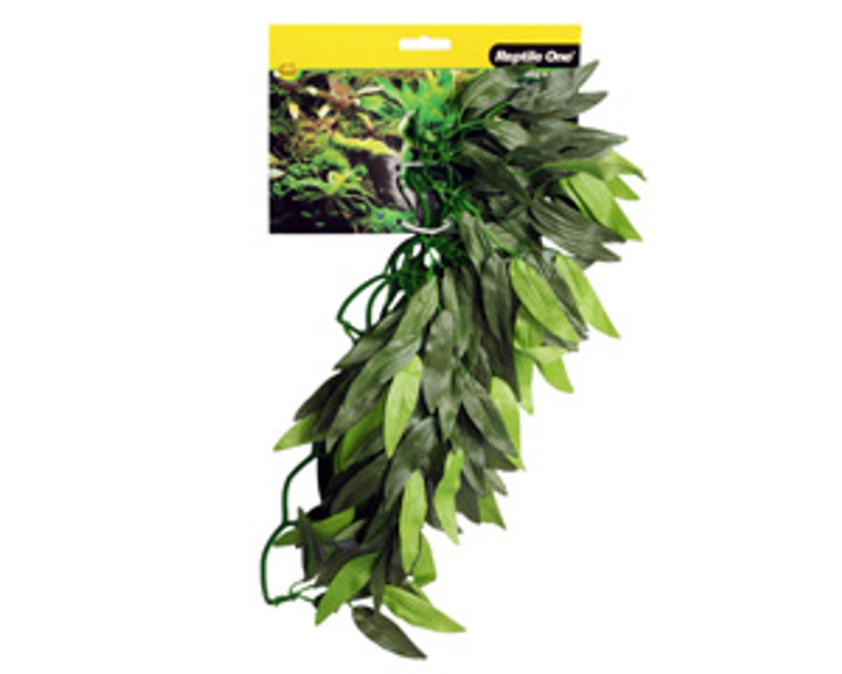 Green Tradescantia Cascading Plant