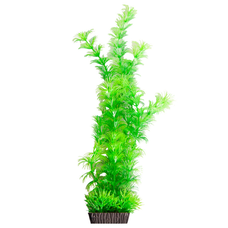 Aqua One Ecoscape Ambulia Green